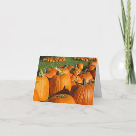 Pumpkins Roca Berry Farm card 4 Karte