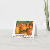 Pumpkins Roca Berry Farm card 4 Karte (Rückseite)