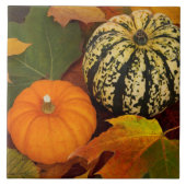 Pumpkins und Blätter Fliese (Vorderseite)
