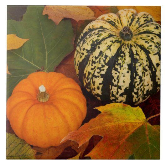 Pumpkins und Blätter Fliese (Vorderseite)