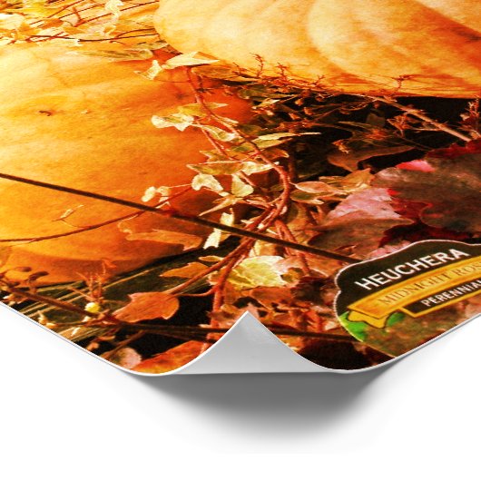 Pumpkins und Fall Pflanze gestört Kunst Poster (Ecke)