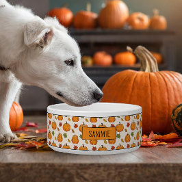 Pumpkins und farbige Herbstlemme; Muster und Name Napf