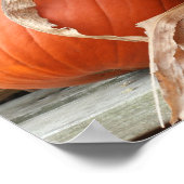 Pumpkins und getrocknete Maisstämme Herbst Poster (Ecke)