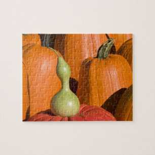 Pumpkins und Gourd Puzzle