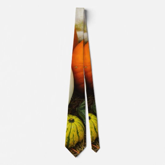 Pumpkins und Gourds Neck Tie Krawatte (Vorderseite)