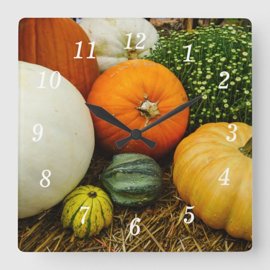 Pumpkins und Gourmets-Uhr Quadratische Wanduhr (Vorderseite)