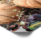 Pumpkins und Herbstlager für Pflanze Poster (Ecke)