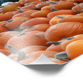 Pumpkins und Mums Herbsternte Fotografie (Ecke)