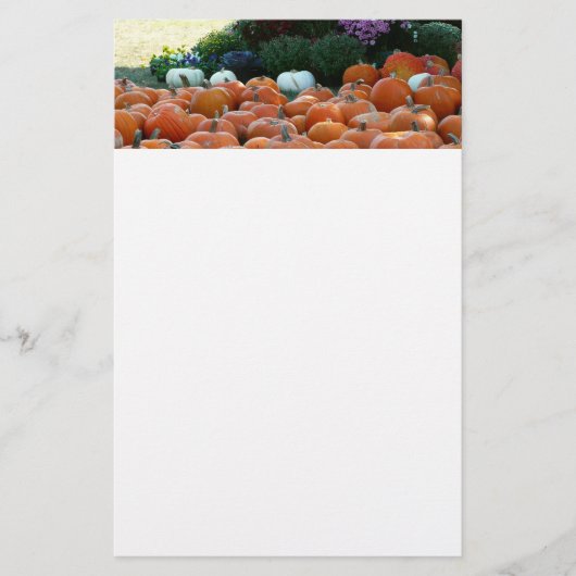 Pumpkins und Mums Herbsternte Fotografie Briefpapier (Vorderseite)