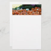 Pumpkins und Mums Herbsternte Fotografie Briefpapier (Vorne/Hinten)