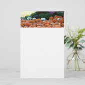 Pumpkins und Mums Herbsternte Fotografie Briefpapier (Stehend Vorderseite)