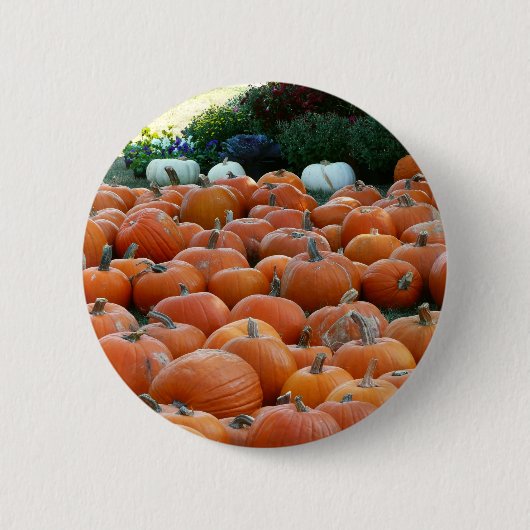 Pumpkins und Mums Herbsternte Fotografie Button (Vorderseite)