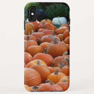 Pumpkins und Mums Herbsternte Fotografie Case-Mate iPhone Hülle