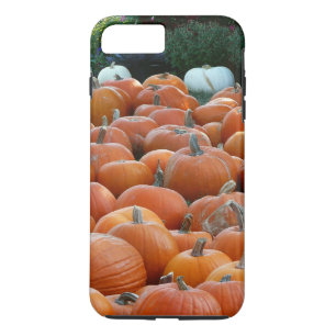 Pumpkins und Mums Herbsternte Fotografie Case-Mate iPhone Hülle