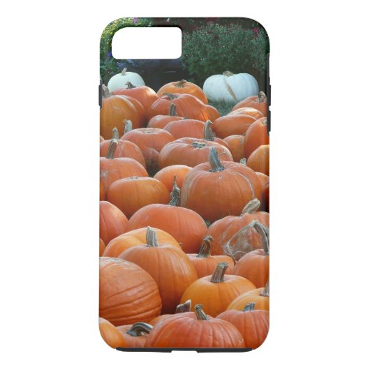 Pumpkins und Mums Herbsternte Fotografie Case-Mate iPhone Hülle (Rückseite)