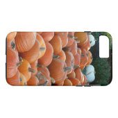 Pumpkins und Mums Herbsternte Fotografie Case-Mate iPhone Hülle (Rückseite (Horizontal))