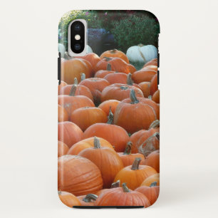 Pumpkins und Mums Herbsternte Fotografie Case-Mate iPhone Hülle