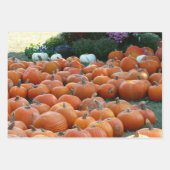 Pumpkins und Mums Herbsternte Fotografie Geschenkpapier Set (Vorderseite)