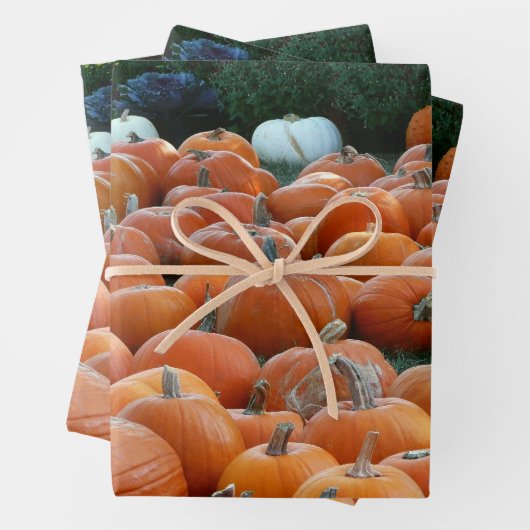 Pumpkins und Mums Herbsternte Fotografie Geschenkpapier Set (Beispiel)