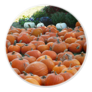 Pumpkins und Mums Herbsternte Fotografie Keramikknauf