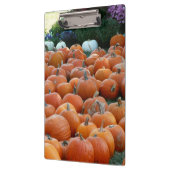 Pumpkins und Mums Herbsternte Fotografie Klemmbrett (Links)