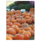 Pumpkins und Mums Herbsternte Fotografie Klemmbrett (Rückseite)