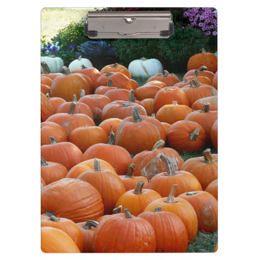 Pumpkins und Mums Herbsternte Fotografie Klemmbrett (Vorderseite)