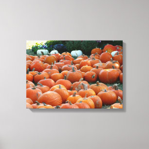 Pumpkins und Mums Herbsternte Fotografie Leinwanddruck