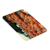 Pumpkins und Mums Herbsternte Fotografie Magnet (Rechte Seite)