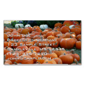 Pumpkins und Mums Herbsternte Fotografie Magnetische Visitenkarte (Vorderseite)