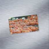 Pumpkins und Mums Herbsternte Fotografie Magnetische Visitenkarte (Beispiel)
