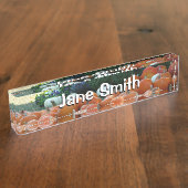 Pumpkins und Mums Herbsternte Fotografie Namensplakette (Seite)