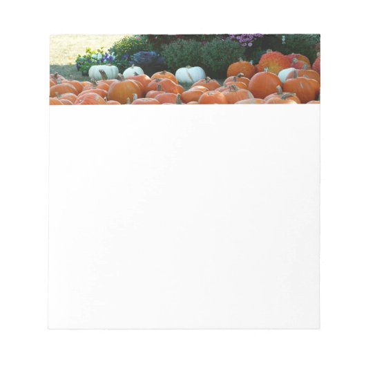 Pumpkins und Mums Herbsternte Fotografie Notizblock (Vorderseite)