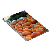 Pumpkins und Mums Herbsternte Fotografie Notizblock (Rechte Seite)