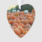 Pumpkins und Mums Herbsternte Fotografie Ornament (Vorderseite)