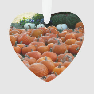 Pumpkins und Mums Herbsternte Fotografie Ornament