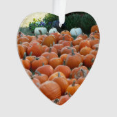 Pumpkins und Mums Herbsternte Fotografie Ornament (Vorderseite)