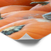 Pumpkins und Mums Herbsternte Fotografie Poster (Ecke)