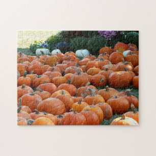 Pumpkins und Mums Herbsternte Fotografie Puzzle