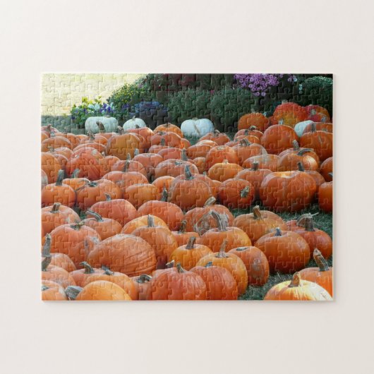 Pumpkins und Mums Herbsternte Fotografie Puzzle (Horizontal)