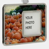 Pumpkins und Mums Herbsternte Fotografie Rahmen-Ornament Silber (Rechts)