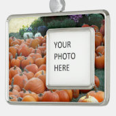 Pumpkins und Mums Herbsternte Fotografie Rahmen-Ornament Silber (Links)