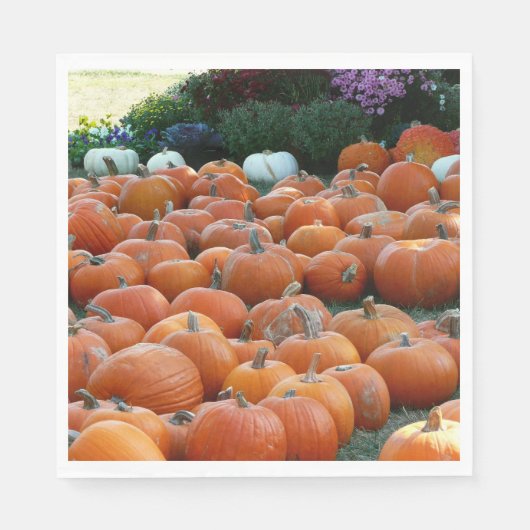 Pumpkins und Mums Herbsternte Fotografie Serviette (Vorderseite)