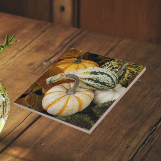 Pumpkins und Squash Still Life Foto Fliese