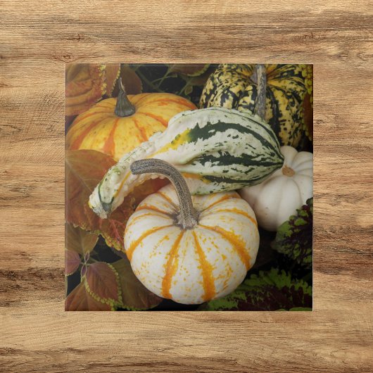 Pumpkins und Squash Still Life Foto Fliese