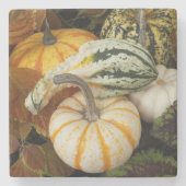 Pumpkins und Squash Still Life Foto Steinuntersetzer (Vorderseite)