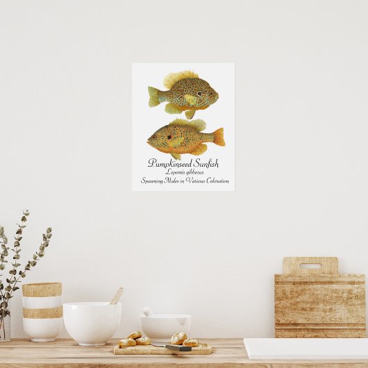 Pumpkinseed Sunfish Art Poster (Küche)