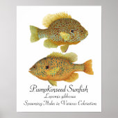 Pumpkinseed Sunfish Art Poster (Vorne)