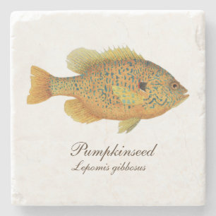 Pumpkinseed Sunfish-Untersetzer Steinuntersetzer