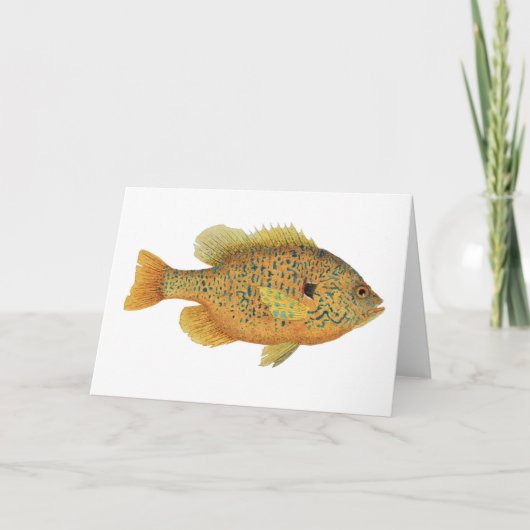 Pumpkinseed Sunfish Watercolor Karte (Vorderseite)
